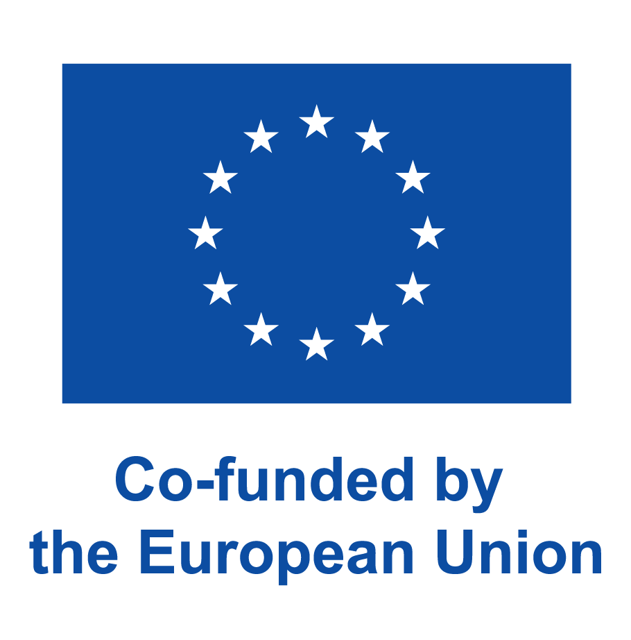 Co-funded by the European Union